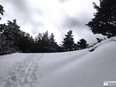 Rebollo de la Maleza; ercavica caminando por madrid sierra de ancares escapada fin de semana madrid 